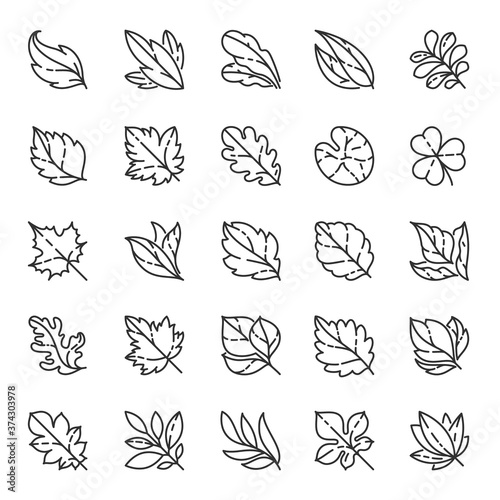 Leaves of various trees, icon set. Various shapes, linear icons. Line with editable stroke