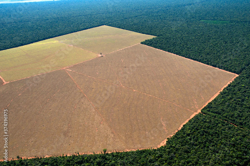 Vista aérea de area de cerrado desmatada para plantio de grãos