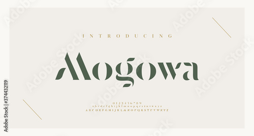 Elegant alphabet letters font and number. Classic Lettering Minimal Fashion Designs. Typography modern serif fonts and numbers. vector illustration