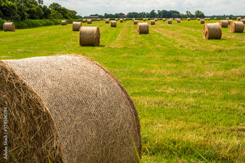 Heuballen auf Feld bei Neuharlingersiel in Ostfriesland