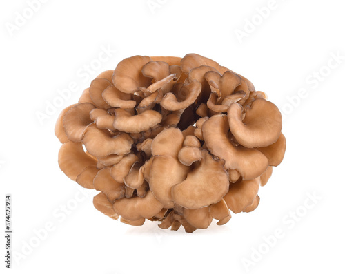 maitake mushrooms isolated on white background