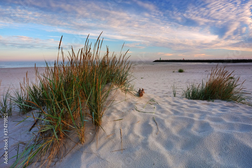 Wydmy na wybrzeżu Morza Bałtyckiego,plaża w Kołobrzegu,Polska.