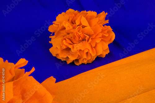Needed materials to make Orange flowers made out crepe paper, used in the festivity of dia de los muertos in Latin America 