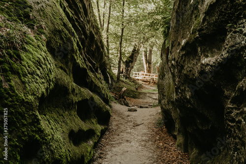 Large rocks in green moss