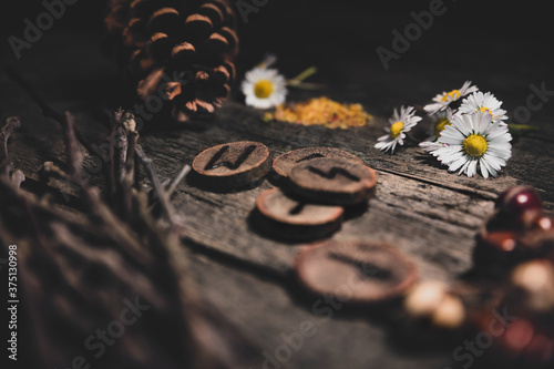 Natural esoteric background with elder runes or futhark, flowers and cones