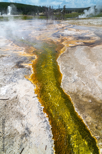 Colorful Hot Run-off Creek in the Biscuit Basin, Yellowstone Park