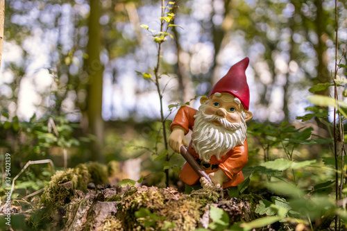 Garden gnome in the forest 