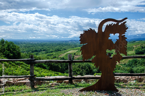 paesaggio con vigne