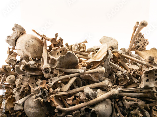 Pile of Bones