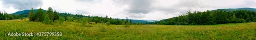 Wonderful panorama of the mountains. Horses on a mountain meadow. Summer panorama landscape in the mountains. Ukraine, Carpathians. Beautiful nature villages. Picture of wildlife
