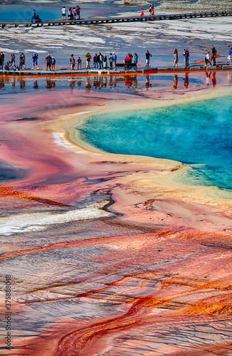 grand prismatic spring in yellowstone national park in wyoming