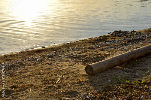 Gruba, drewniana belka na plaży nad jeziorem.