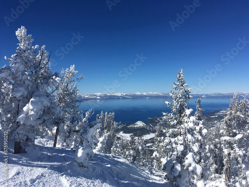 View of Lake Tahoe framed by snow covered trees from high up on Heavenly Ski Resort, Lake Tahoe, California and Nevada
