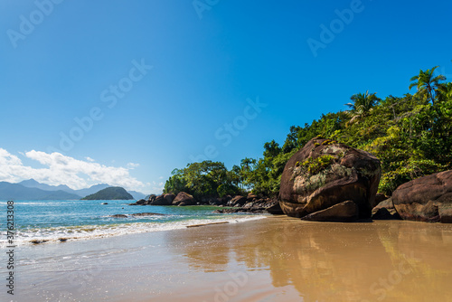 Tropical landscape of brazilian beach
