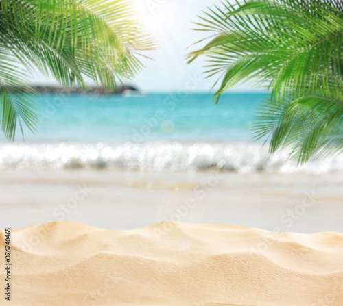 Sandy beach with palms near ocean on sunny day