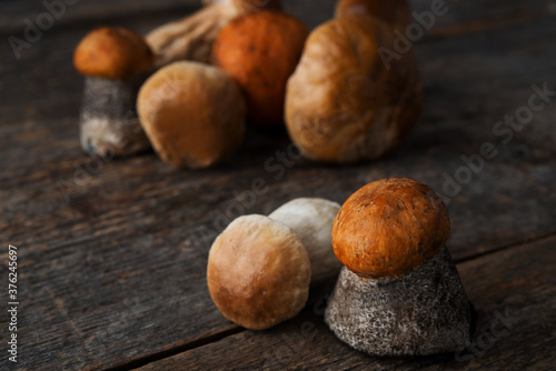 Autumn forest mushrooms on a wooden table, copy space