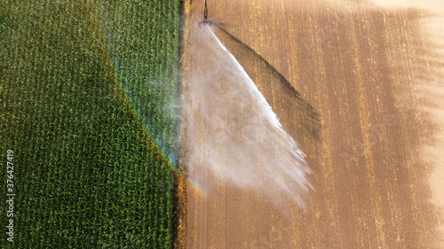 Irrigating maize in the summer