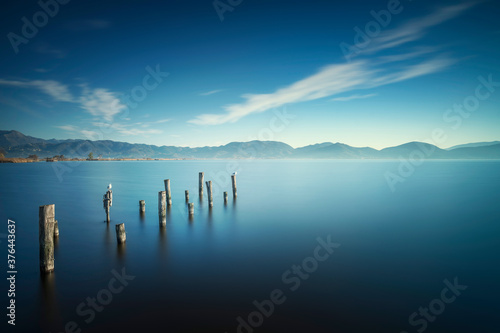 Wooden pier or jetty remains at sunrise. Massaciuccoli lake. Torre del Lago Puccini Versilia Tuscany, Italy