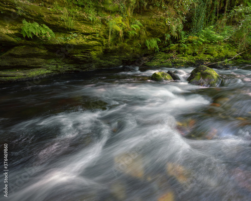 Stream of a river against a slate wall covered in moss and ferns