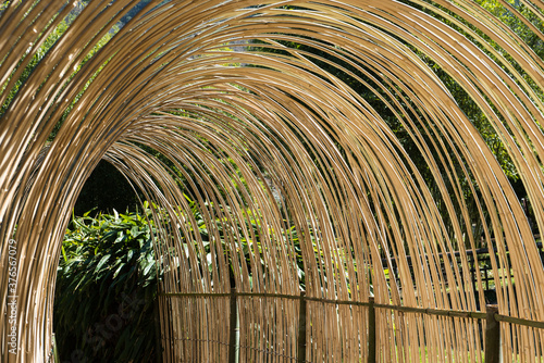 shaded path in the bamboo grove of Anduze (France)