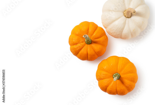 Orange pumpkin and white pumpkin placed on a white background