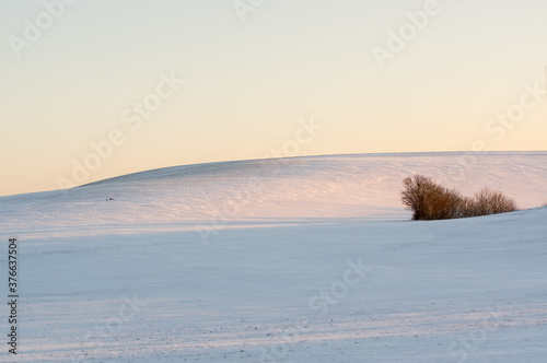 Zimowy krajobraz pagórki pokryte śniegiem na tle zimowego nieba