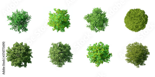 Collection of 3D tree top view isolated on white background, Use for visualization in architectural design or garden decorate