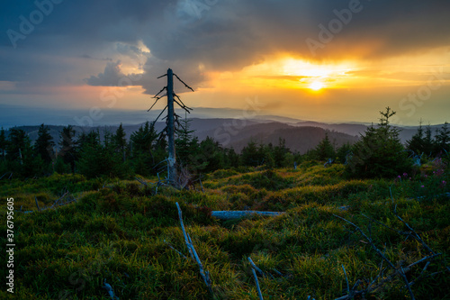 Gorczańskie widoki. Widok ze szczytu Turbacza na Gorce i Beskid żywiecki o zachodzie słońca
