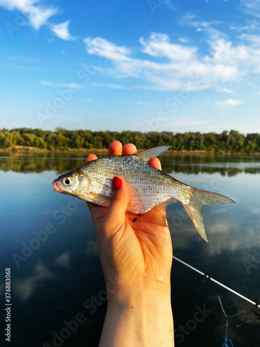 fish in hand