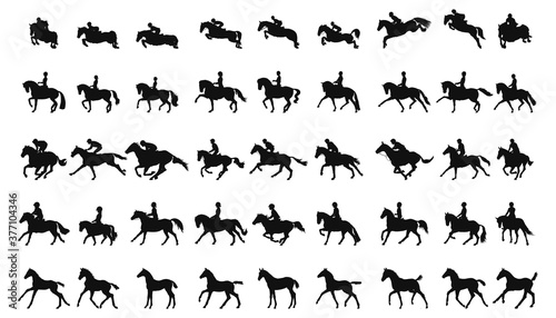 Large collection of silhouettes concept about equestrian sports, show jumping, dressage, eventing, racing, children's sports and foals