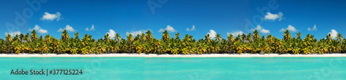 Coastline with coconut palm tree jungle on caribbean beach, Island Saona. Dominican Republic