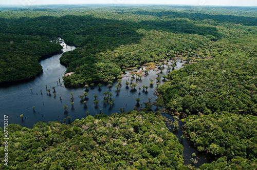 Vista aérea de igarapé na floresta amazônica