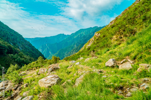 Grass and mountains in summer in the Italian Alps of Piemonte