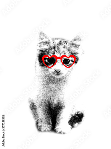 Cute black and white kitten with red heart shaped glasses
