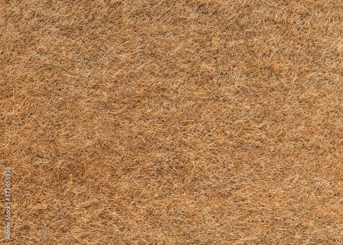 Doormat, coir door mat carpet background with coconut natural husk fibre texture pattern for house floor, home interior and exterior matting