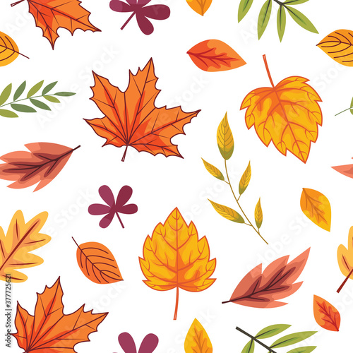 Seamless Autumn leaves background, vector illustration