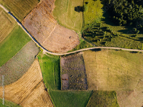 Aerial view top down from above on the country road in mountain agriculture fields between green grass crops and trees around - nature travel concept drone photo Kopaonik Serbia in autumn or summer