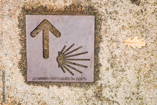 Metal symbol on a street, indicating the Camino de Santiago, on its Portuguese route.