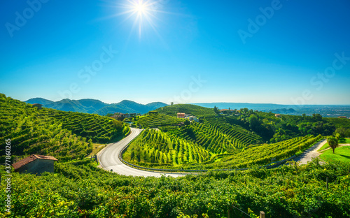 Vineyards and road. Prosecco Hills, Unesco Site. Valdobbiadene, Veneto, Italy