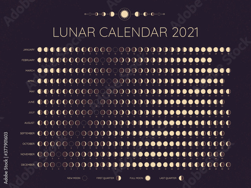 Moon calendar 2021. Lunar phases cycles dates, full. New and every phase in between, moon schedule monthly calendar year vector illustration. Lunar calendar at year, template monthly schedule