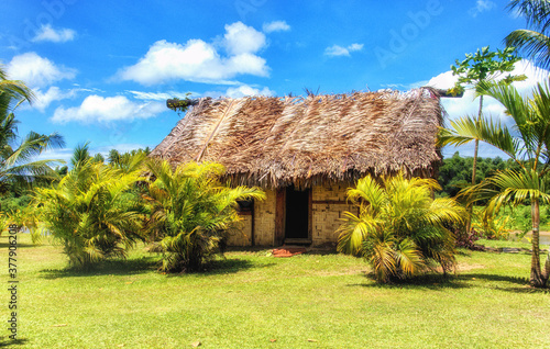 Bure (traditional Fijian house)