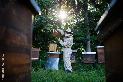 Portrait of man beekeeper working in apiary, using bee smoker.