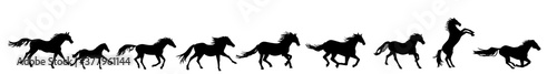 Horses running silhouette vector illustration. Herd of stallions.