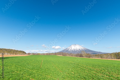 残雪の羊蹄山と牧草地の風景 / 北海道倶知安町