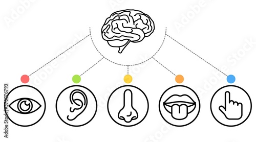 Two sets of icons representing the five senses