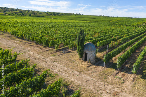 Top view of a trullo in the vineyard near Flörsheim-Dalsheim / Germany in Rhineland-Palatinate