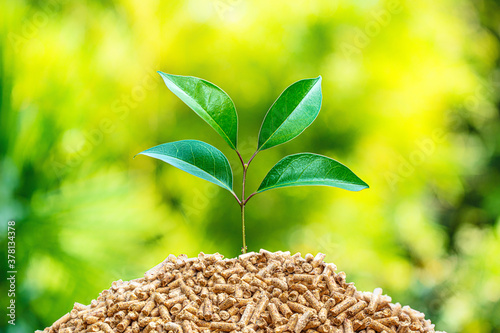 fuel wood pellets with green tree leaf.