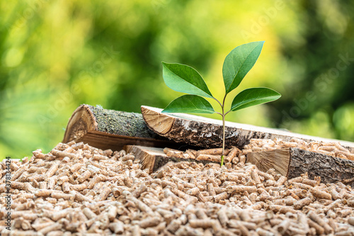 wood pellets with leaf and tree trunks.