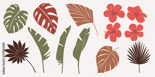 Vector hand drawn set of various silhouette branches with abstract tropical leaves. botanical element collection with Earth tone color. Design for natural and floral background pattern, bouquet