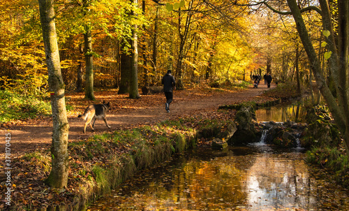 Unrecognizable man jogging with dog, people promenade along picturesque stream in Vincennes forest of Paris (France) in autumn. Healthy lifestyle concept. 